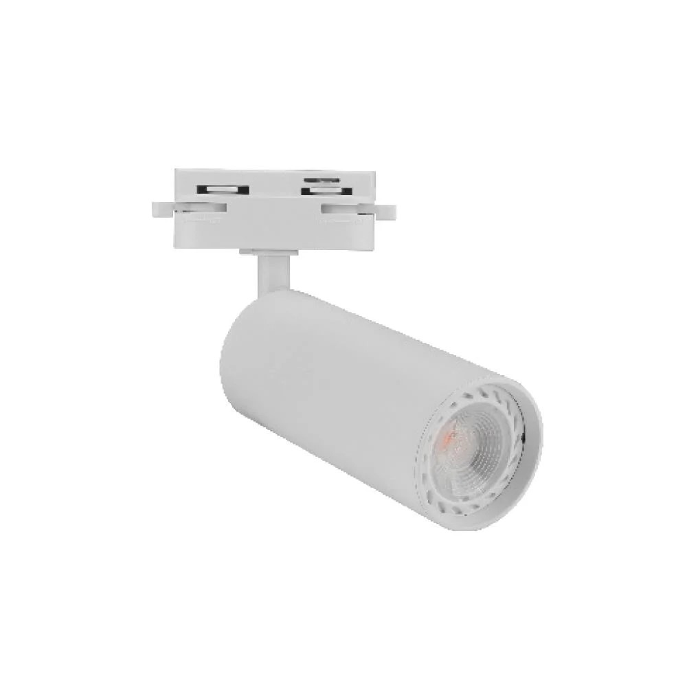 Ray Spot 30Watt Beyaz Kasa