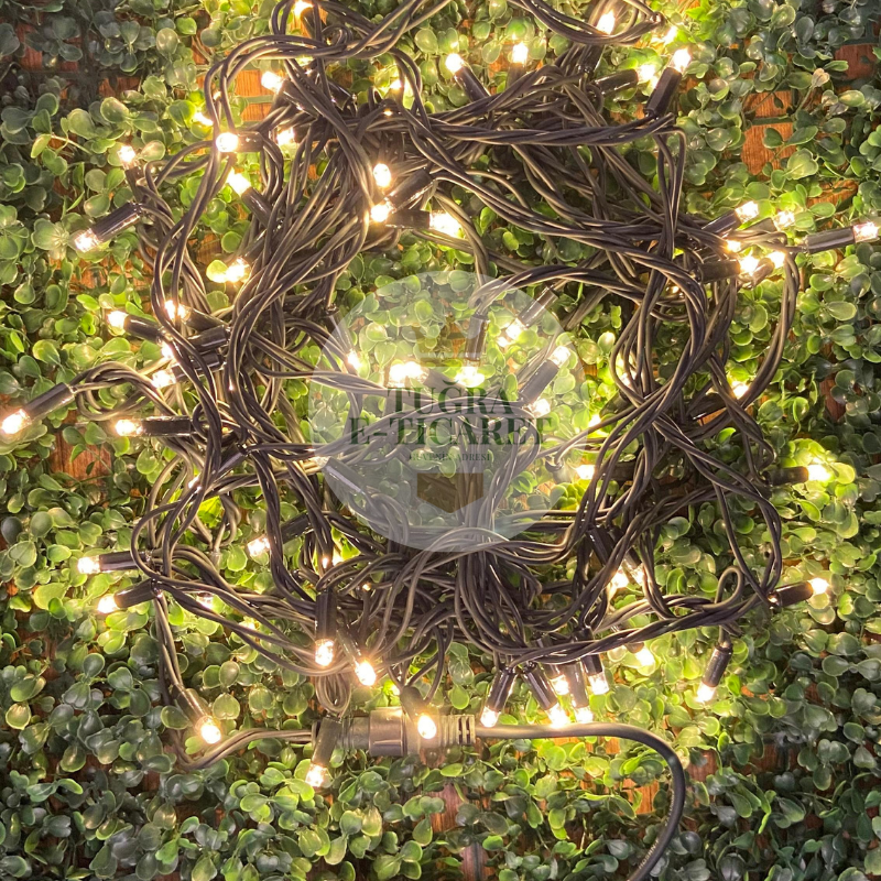 Dış Mekan IP65 İp LED 10 Metre Siyah Kablo Gün Işığı Işık Dekor Aydınlatma