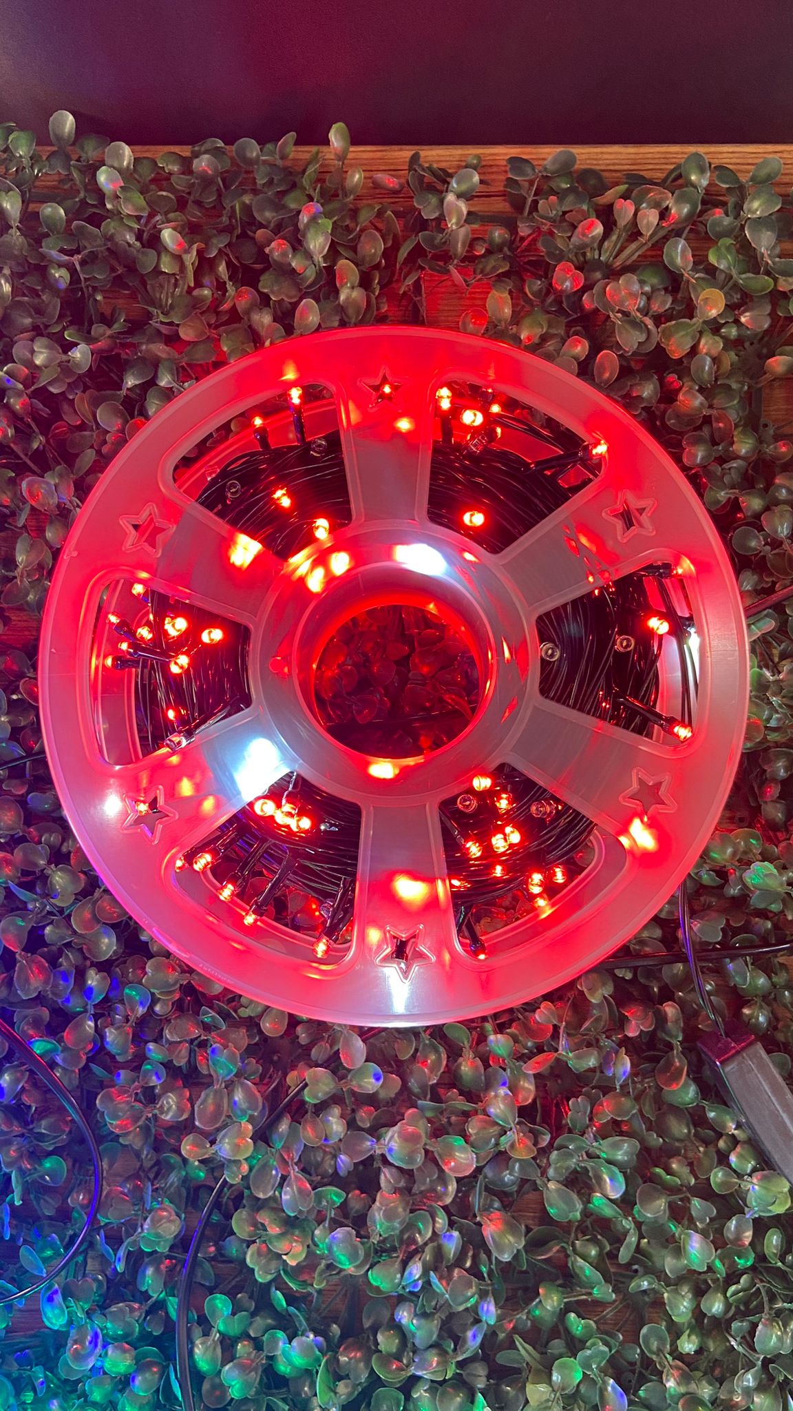 50 Metre İp Led Siyah Kablo Kırmızı Işık Çakarlı (Filaşlı) 240 Led Işık Dekor Süsleme Aydınlatma