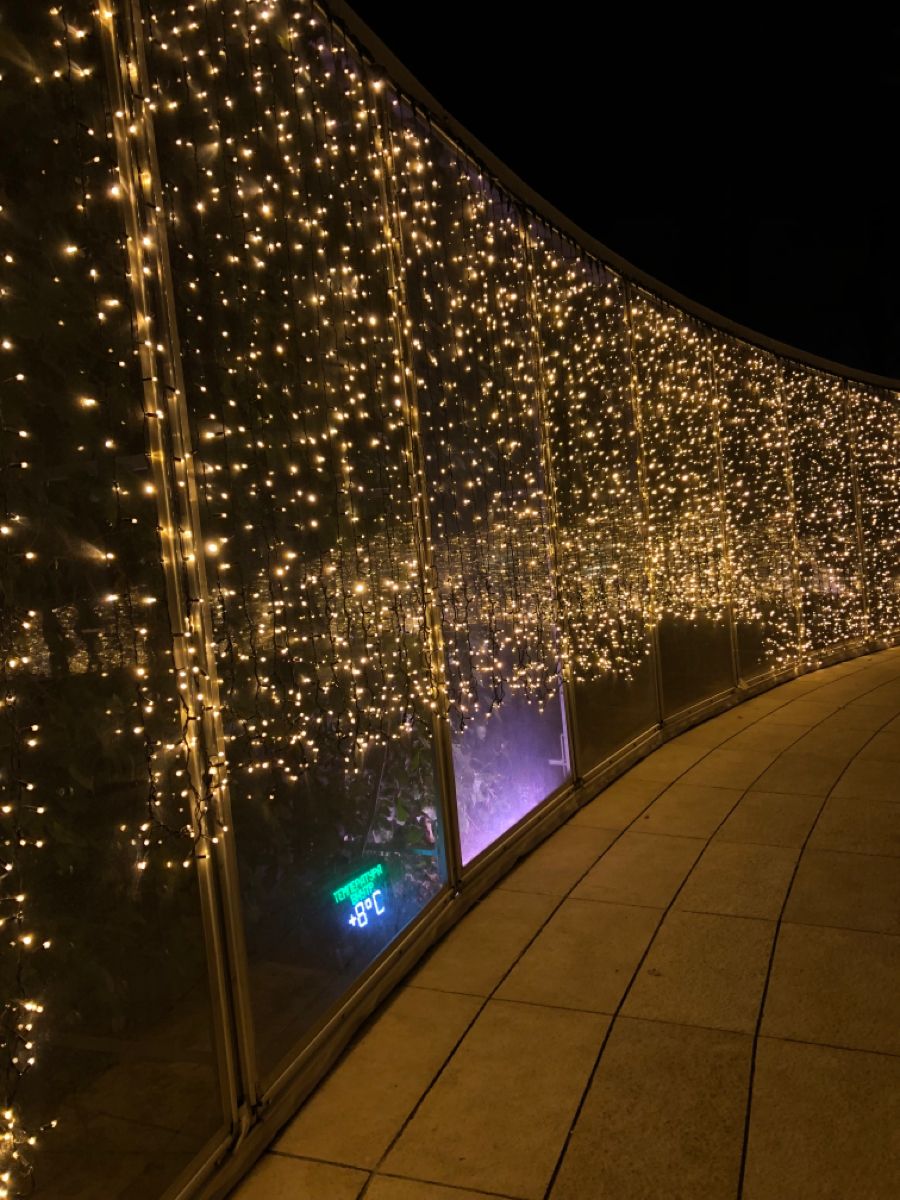 Dış Mekan IP65 2x3 MT Gün Işığı Çakarlı/Flaşlı 600 Led Beyaz Kablo Aydınlatma Işık