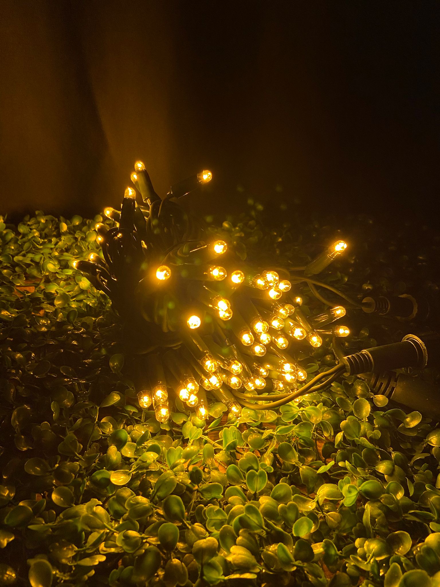 Dış Mekan 10 Metre 100 Led IP65 Su Geçirmez İp Led Eklenebilir Fişli