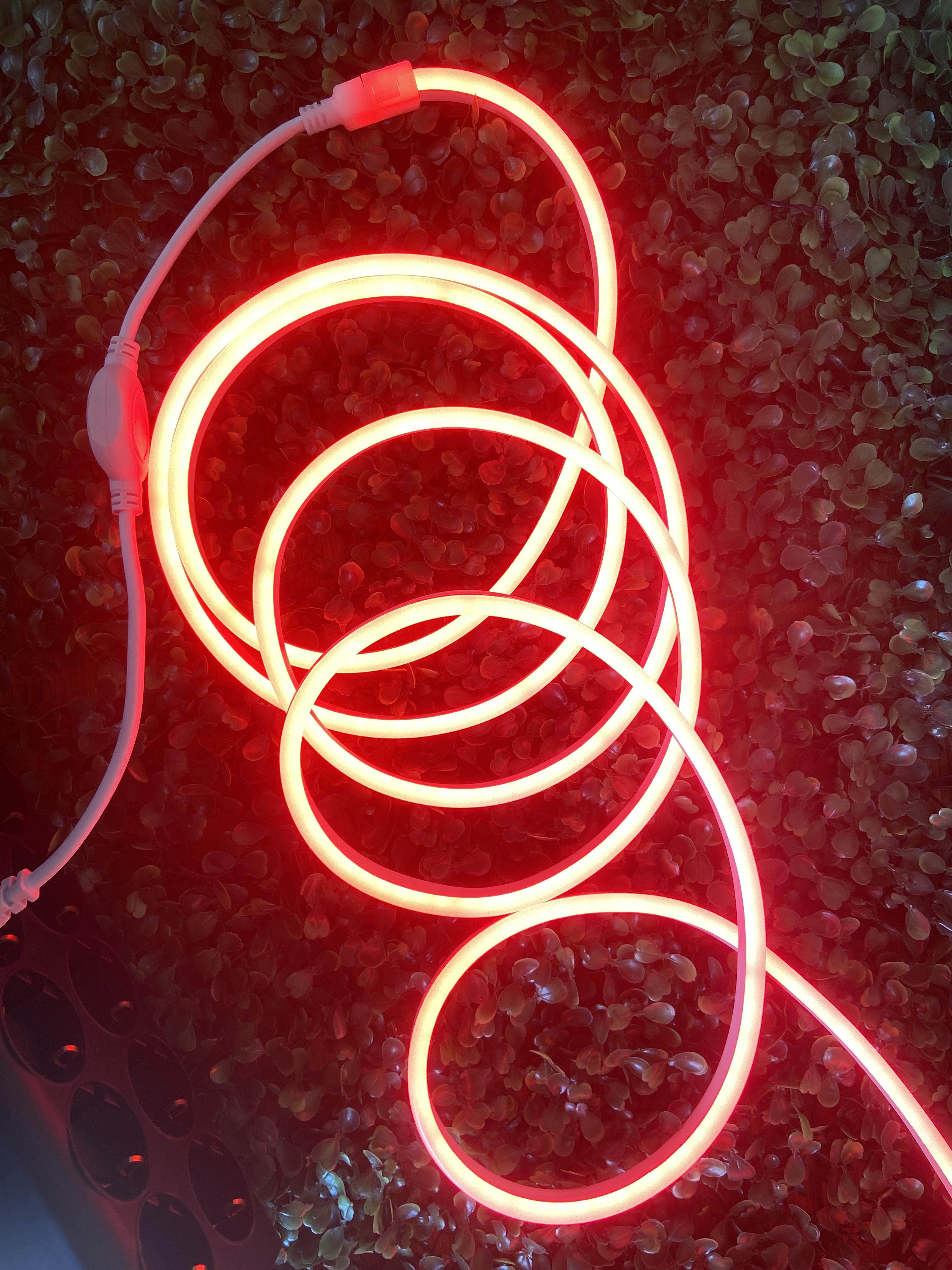 Neon LED 5 Metre 220 volt Fiş Dahil Kırmızı Renk Dış İç Mekan Aydınlatma