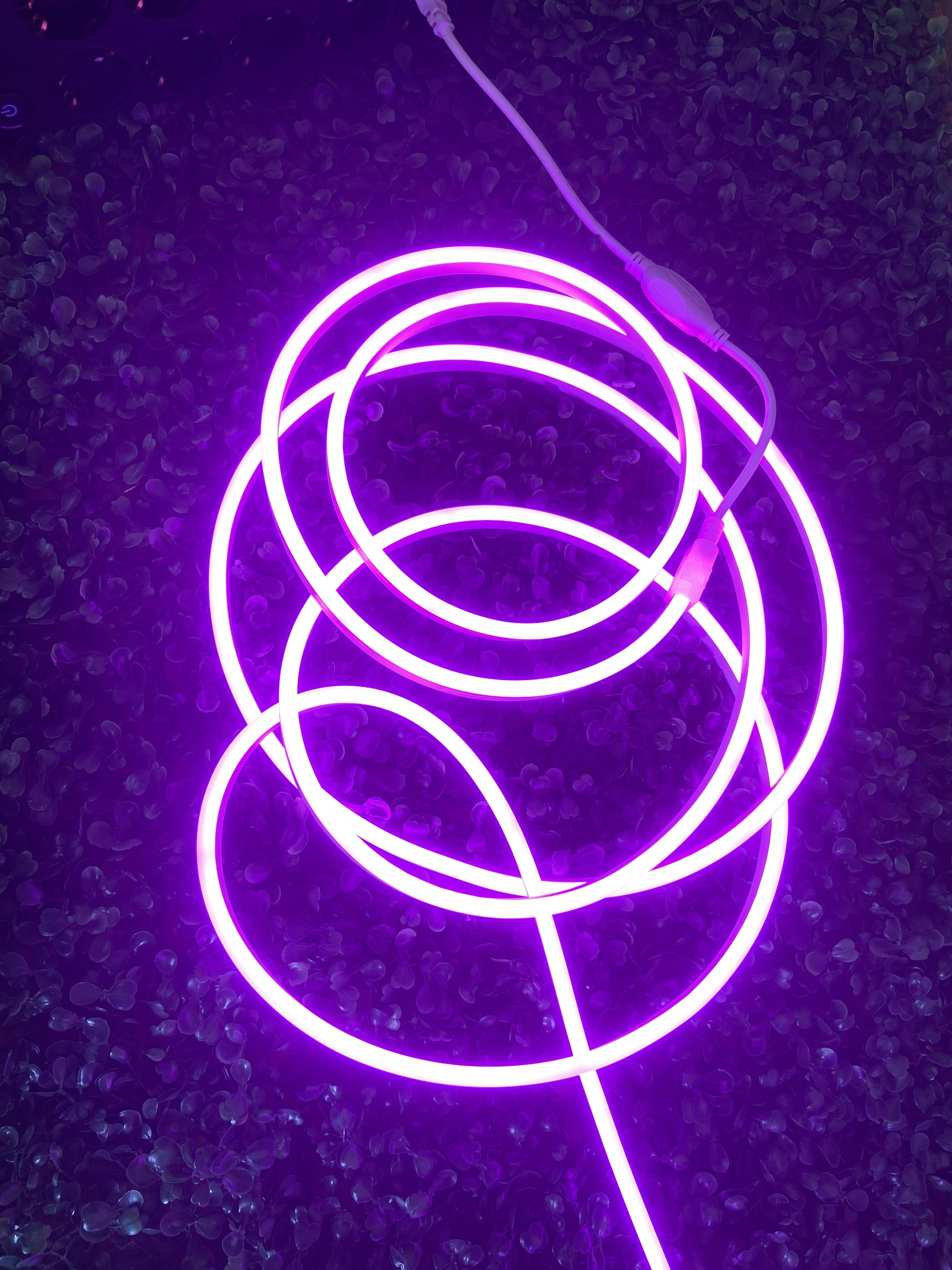 Neon LED 5 Metre 220 volt Fiş Dahil Mor Renk Dış İç Mekan Aydınlatma